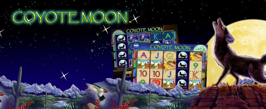 Coyote moon slot machine hand pays