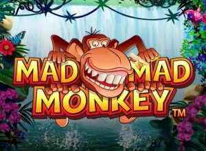Mad Mad Monkey Slot Game