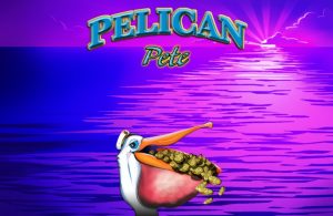 Pelican Pete Online Slot