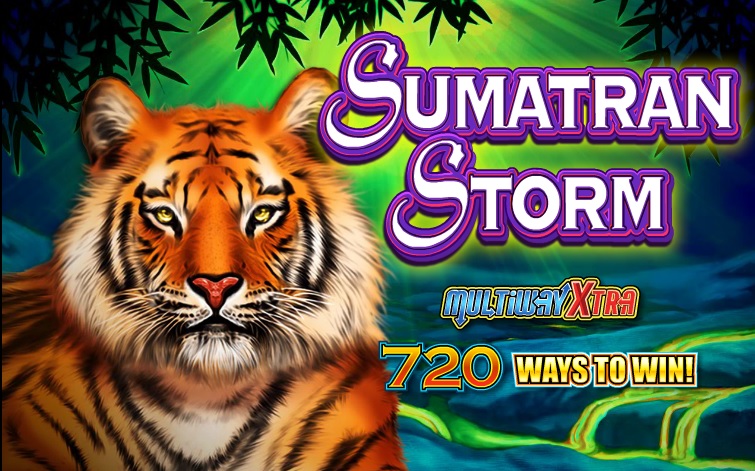 Sumatran Storm Free Slot Game