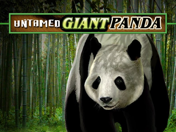 Untamed Giant Panda Free Slot Machine Game