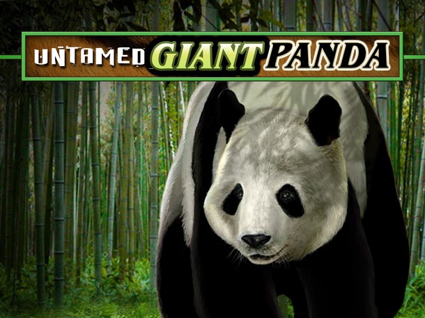 Untamed Giant Panda Slot