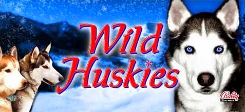 Wild Huskies Free Slot Machine Game