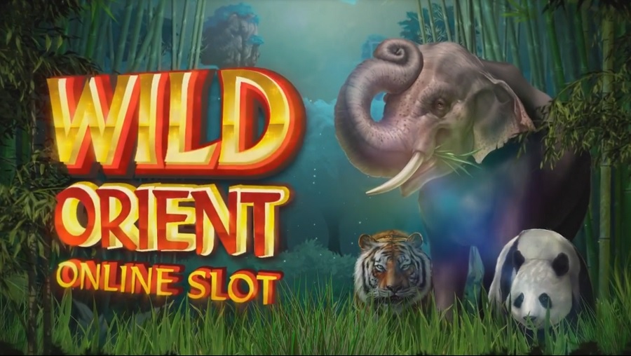 Wild Orient Free Slot Machine Game