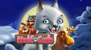 Wolf Cub Slot Machine