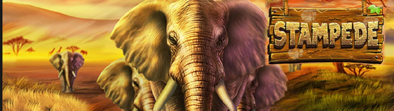 Stampede African Elephants