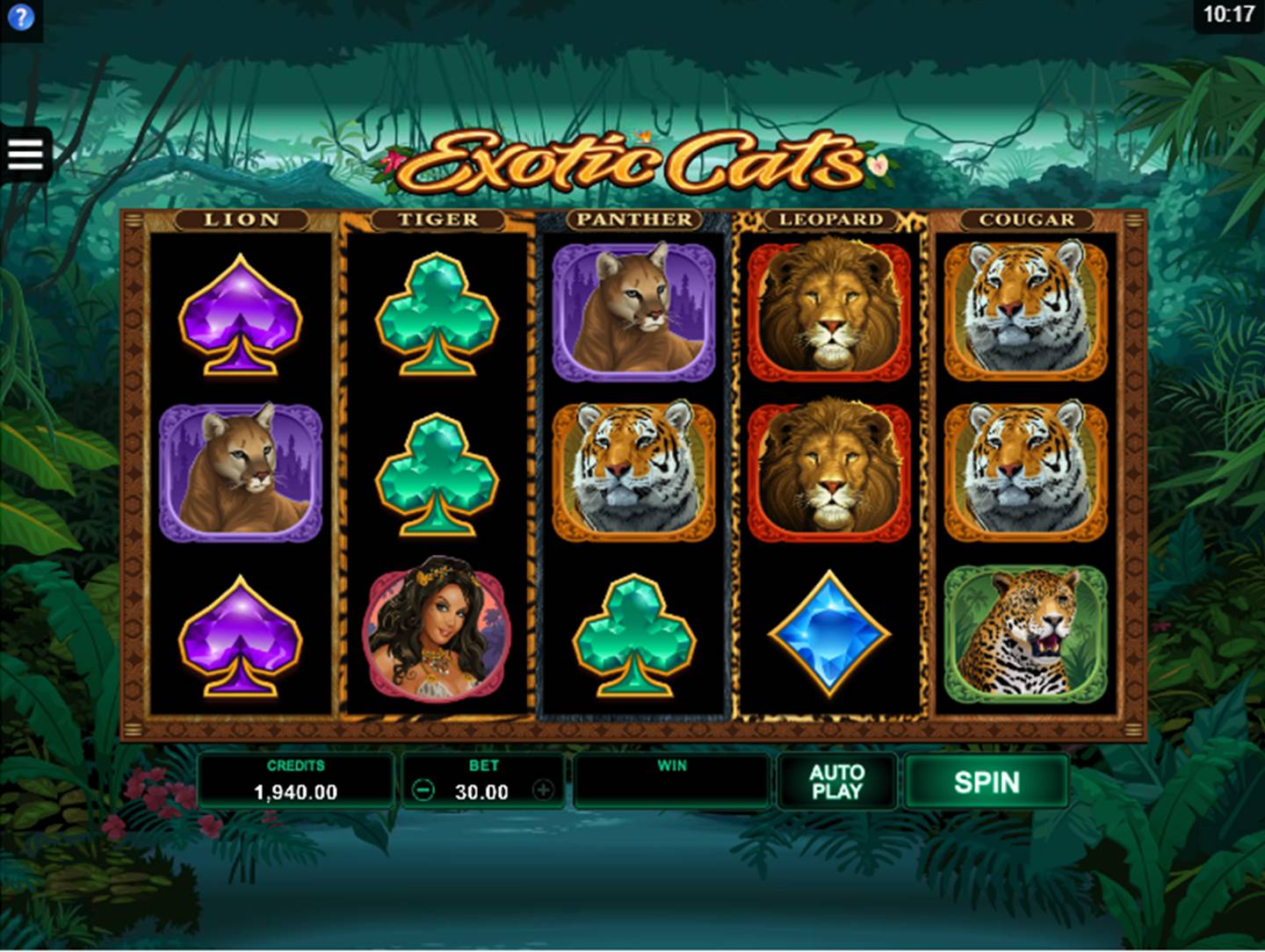 Exotic Cats